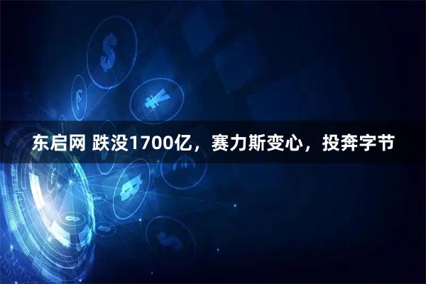 东启网 跌没1700亿，赛力斯变心，投奔字节