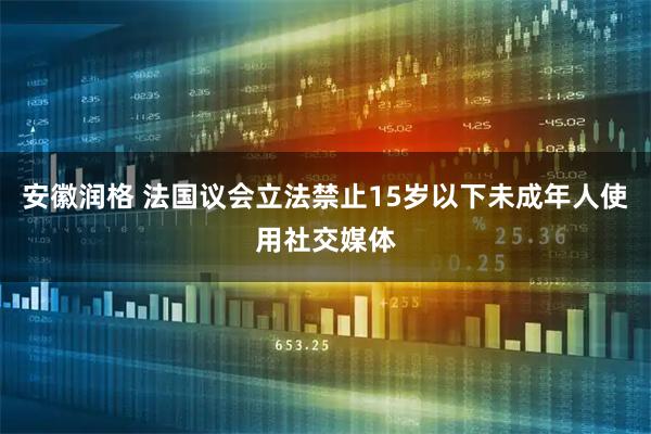 安徽润格 法国议会立法禁止15岁以下未成年人使用社交媒体